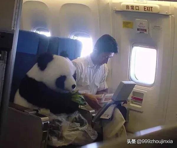 追逐變化之翼，學(xué)習(xí)鑄就自信與成就——虛幻最新探討