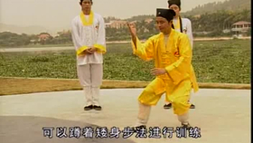 太極最新音樂(lè)，傳統(tǒng)與現(xiàn)代的完美融合藝術(shù)展現(xiàn)
