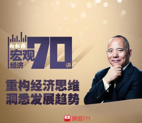 向松祚最新演講解析，學(xué)習(xí)其演講技巧與思想的啟示