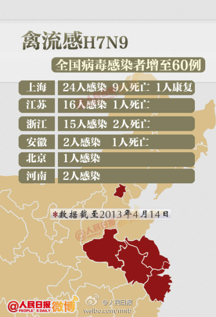 山東禽流感最新動態(tài)，友情與陪伴的溫馨故事