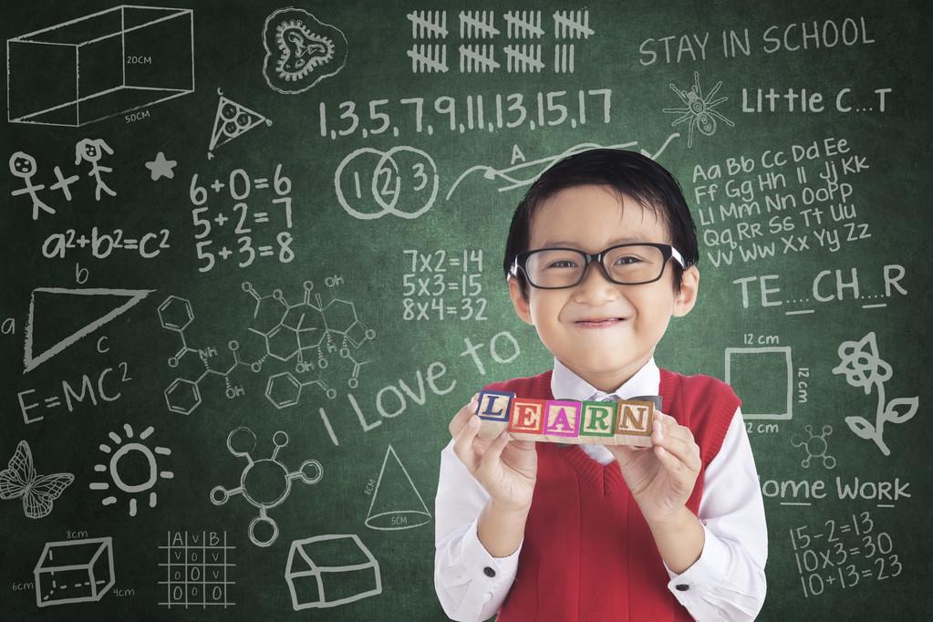 小學(xué)數(shù)學(xué)最新課程標(biāo)準(zhǔn)，深度解析與觀點(diǎn)闡述