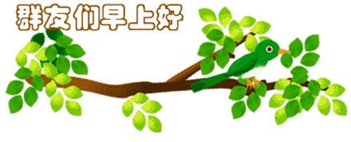最新清晨祝福短信，晨曦中的溫暖問候，傳遞美好祝愿與關(guān)懷