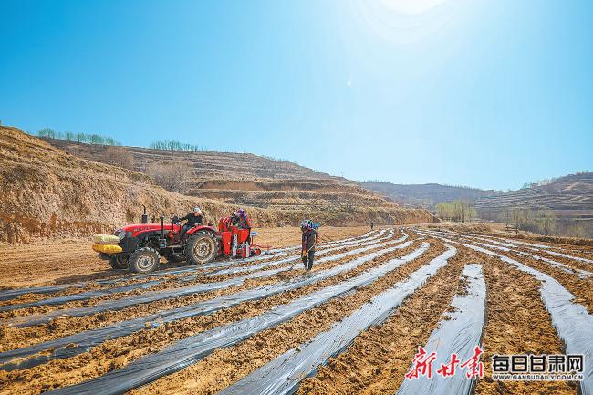 秦安最新新聞，城市溫情日常溫馨小事報(bào)道