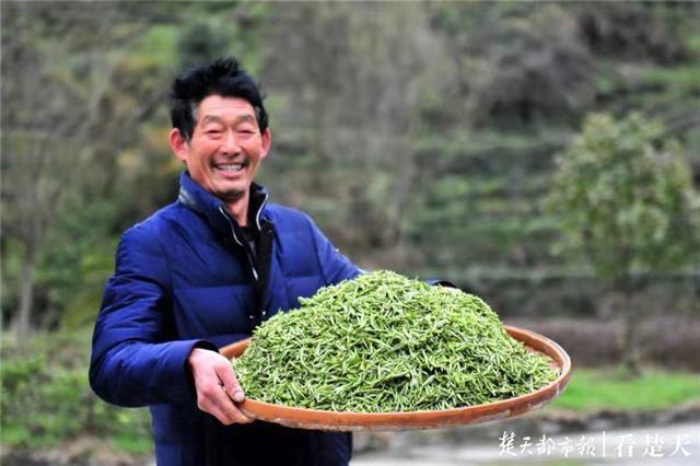 最新夷陵新聞，探索自然美景的旅程，尋覓內(nèi)心平和之地