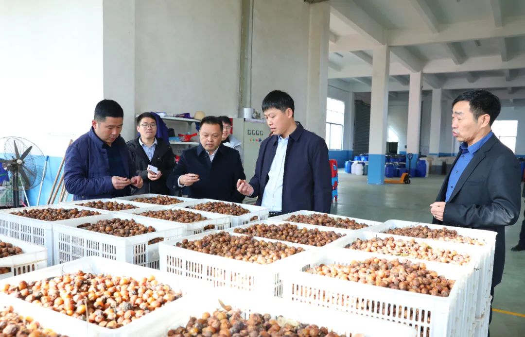 建寧最新新聞，城市溫馨日常與友情力量的展現(xiàn)