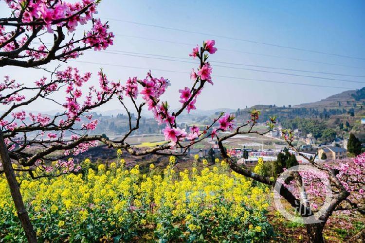 合川最新科技新聞，高科技產(chǎn)品引領(lǐng)未來生活潮流