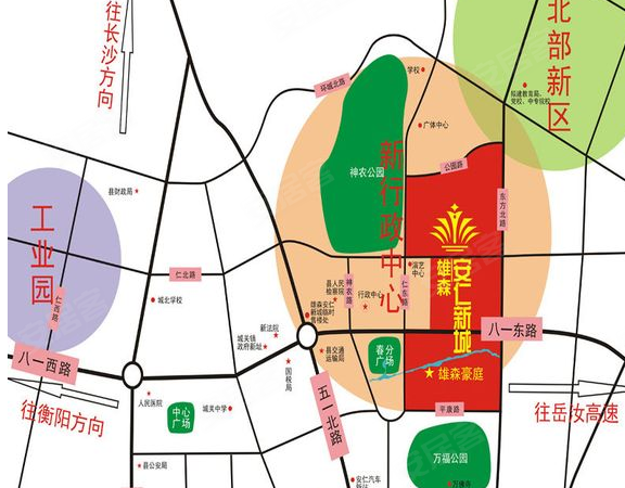 安仁雄森最新動(dòng)態(tài)揭秘，小巷中的隱藏寶藏！