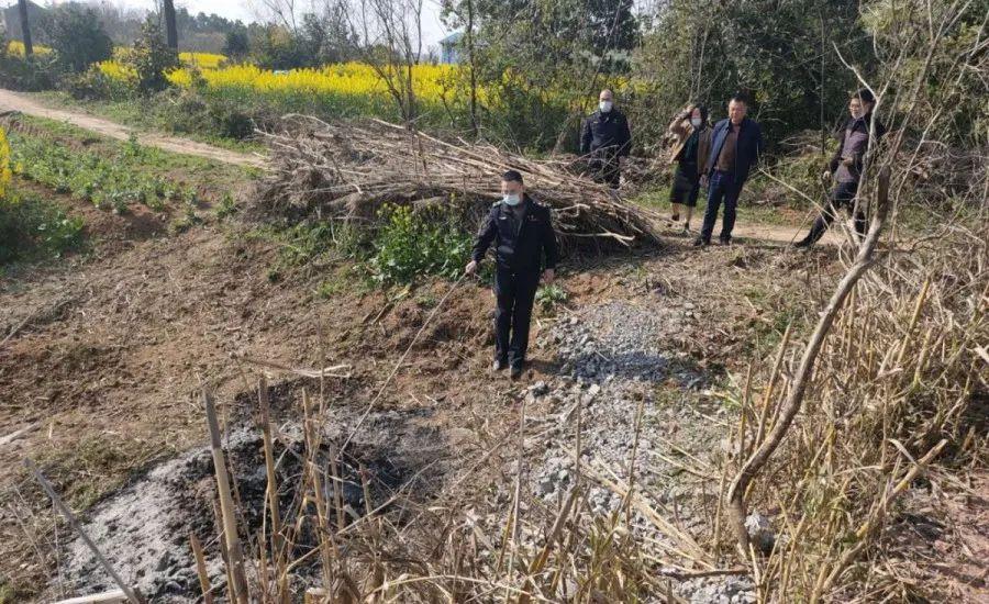 溧陽最新天氣，氣象變遷與地域影響探究