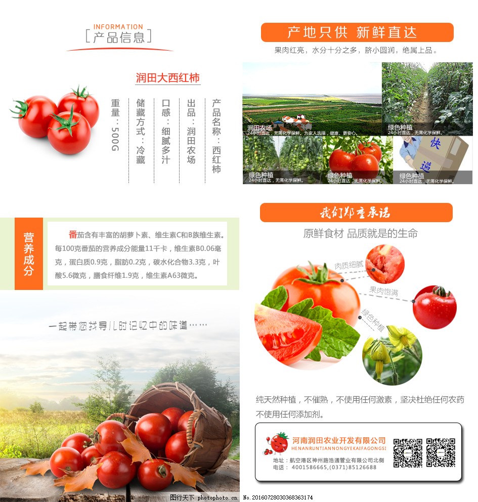 安徽西紅柿產(chǎn)地探秘，自然美景與鮮美西紅柿的邂逅之旅