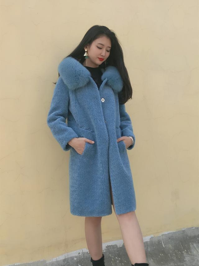 三七花最新價格揭秘，溫馨小故事中的尋找之旅