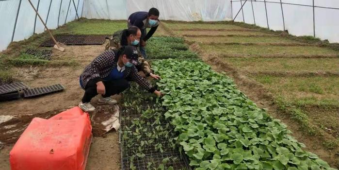 策勒最新招聘啟航人才新篇章，學(xué)習(xí)變化，擁抱自信與成就，啟程人生新征程！