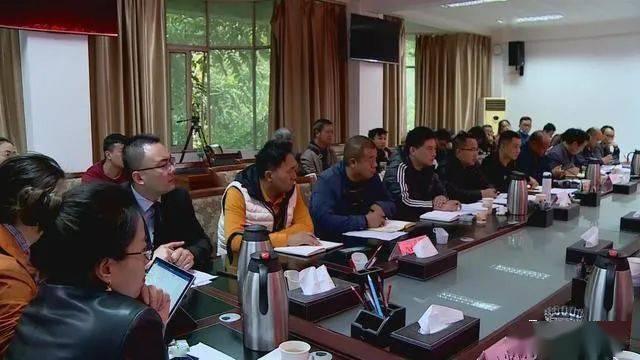 德昌最新新聞，擁抱自然，心靈寧靜之旅啟程