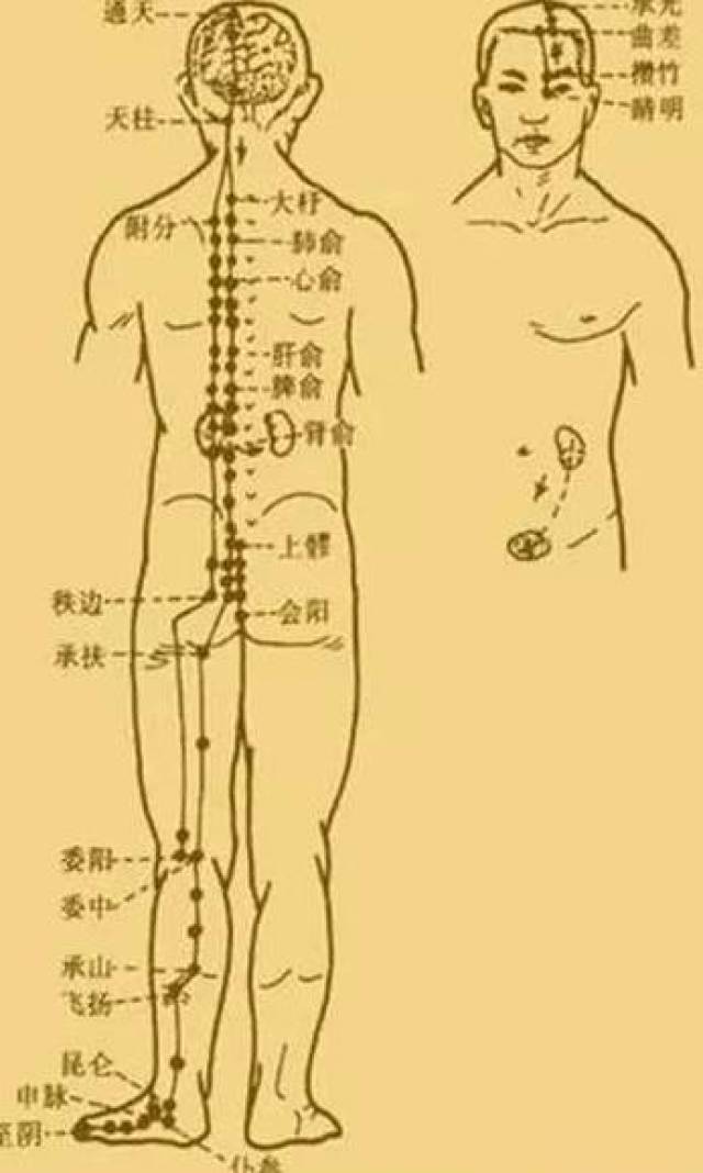 最新經(jīng)絡(luò)操，探索古老奧秘，重塑健康身姿