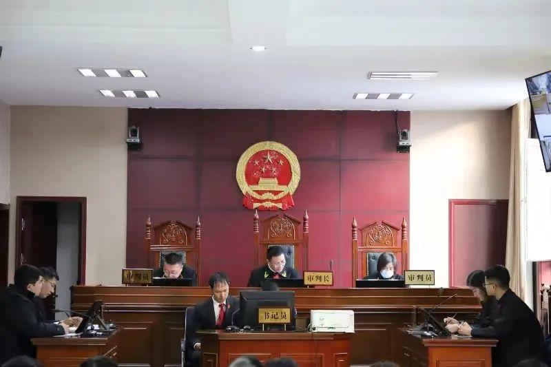 偏關(guān)最新案件深度解析，揭示真相，關(guān)注社會公正與公平