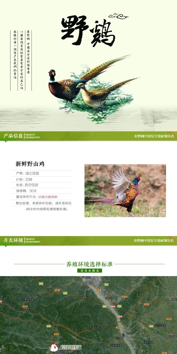 深度剖析，最新山雞的背景、事件與地位概述