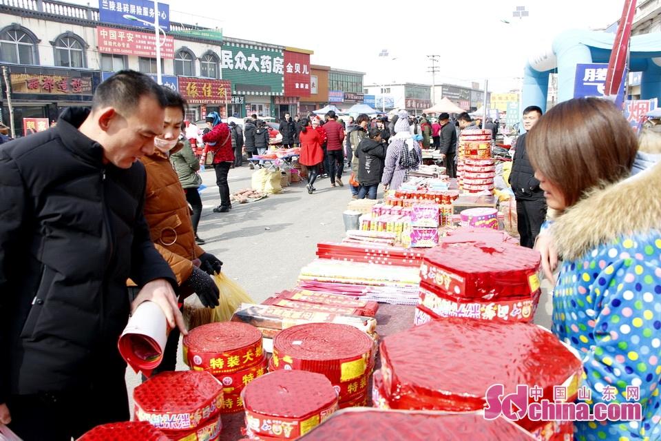 淘元素最新，淘淘的奇妙冒險(xiǎn)之旅與友情的溫暖體驗(yàn)