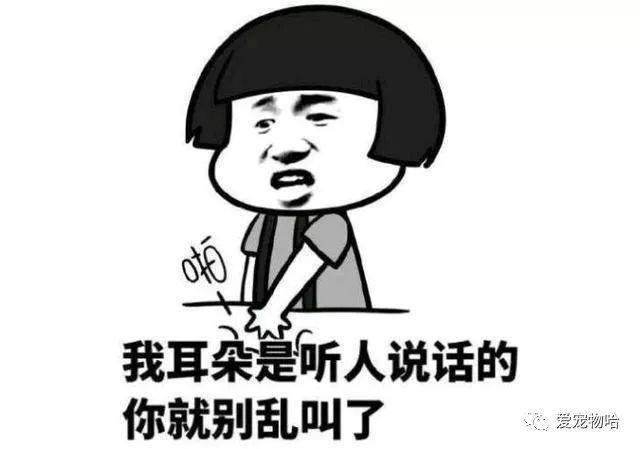最新枕邊笑話，科技小寶貝，生活添樂趣