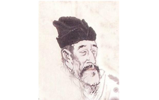 最新孤雁圖片，展現(xiàn)自然之美與深意的瞬間