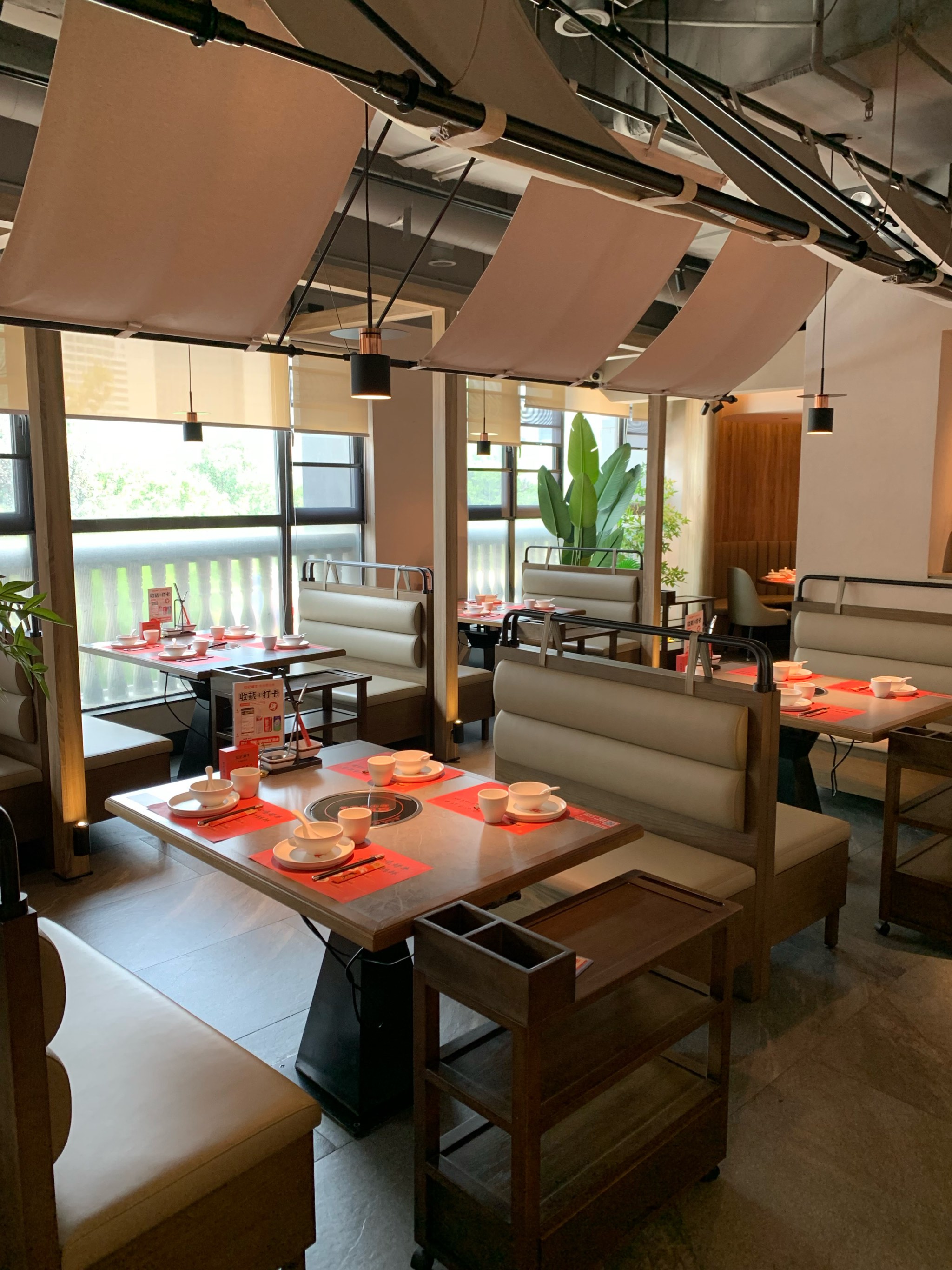 ??餐廳新動態(tài)揭秘，美食新風尚引領味蕾盛宴！