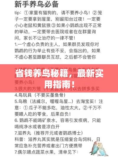 最新養(yǎng)鳥法規(guī)解析，觀點闡述與深度探討