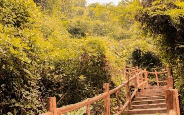 小99最新，科技、生活與娛樂的交融之地