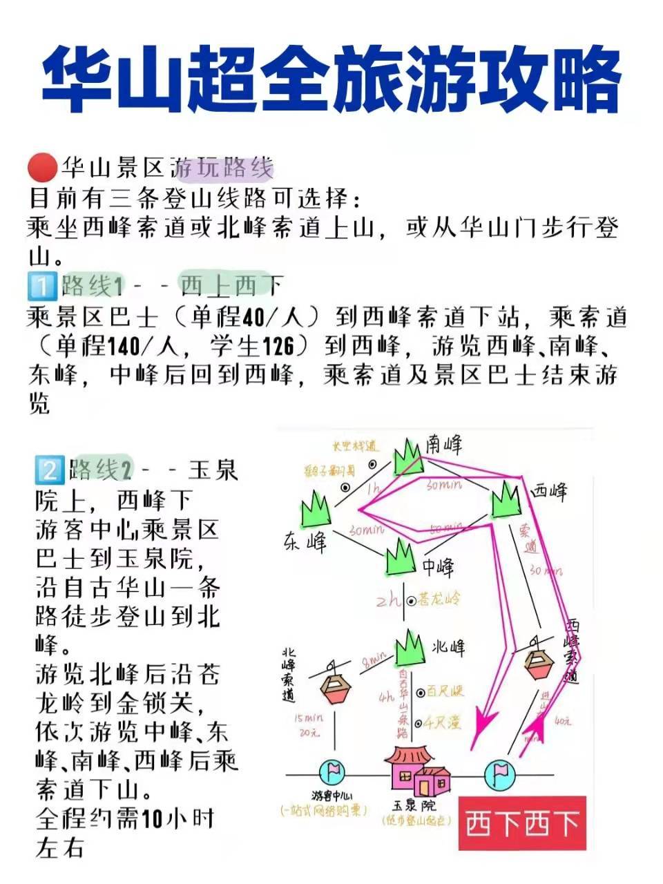華山旅游最新探秘，小巷中的獨特風味之旅