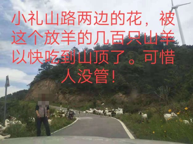 大悟最新路，探索未知，自信成就夢想之旅的啟程