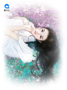 最新豪婿，小巷深處的獨(dú)特風(fēng)情