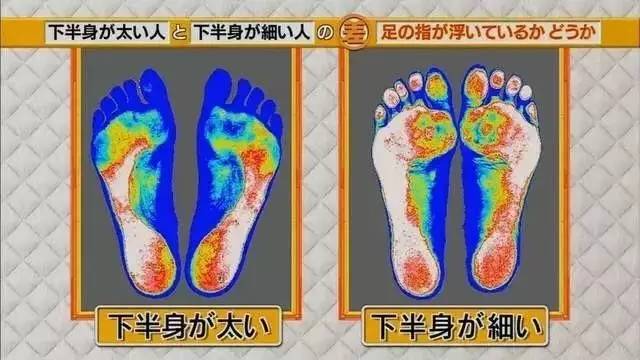 最新地趾論述，探索、爭議與觀點綜述