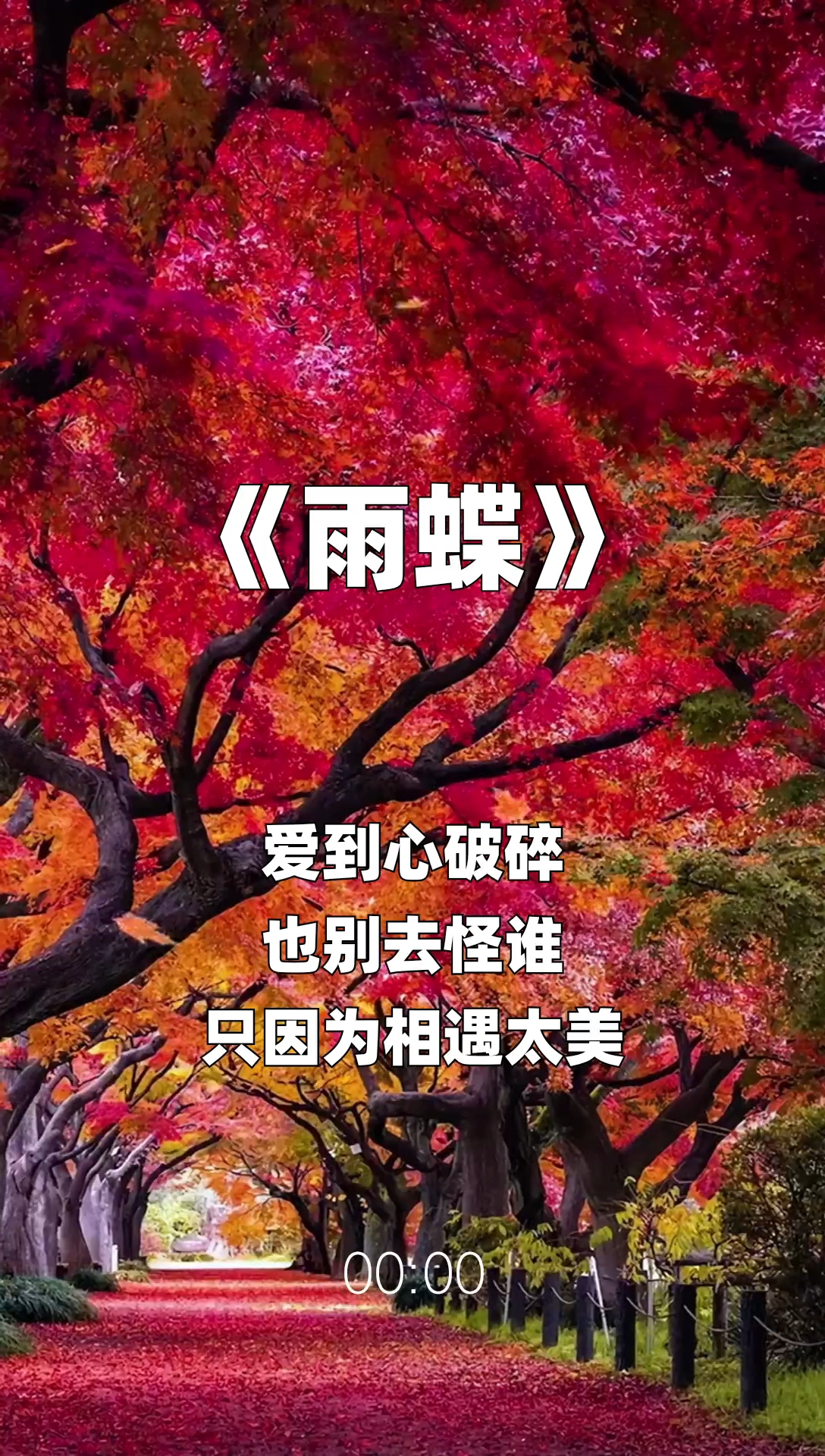 雨蝶最新步驟指南，如何完成任務或學習技能？