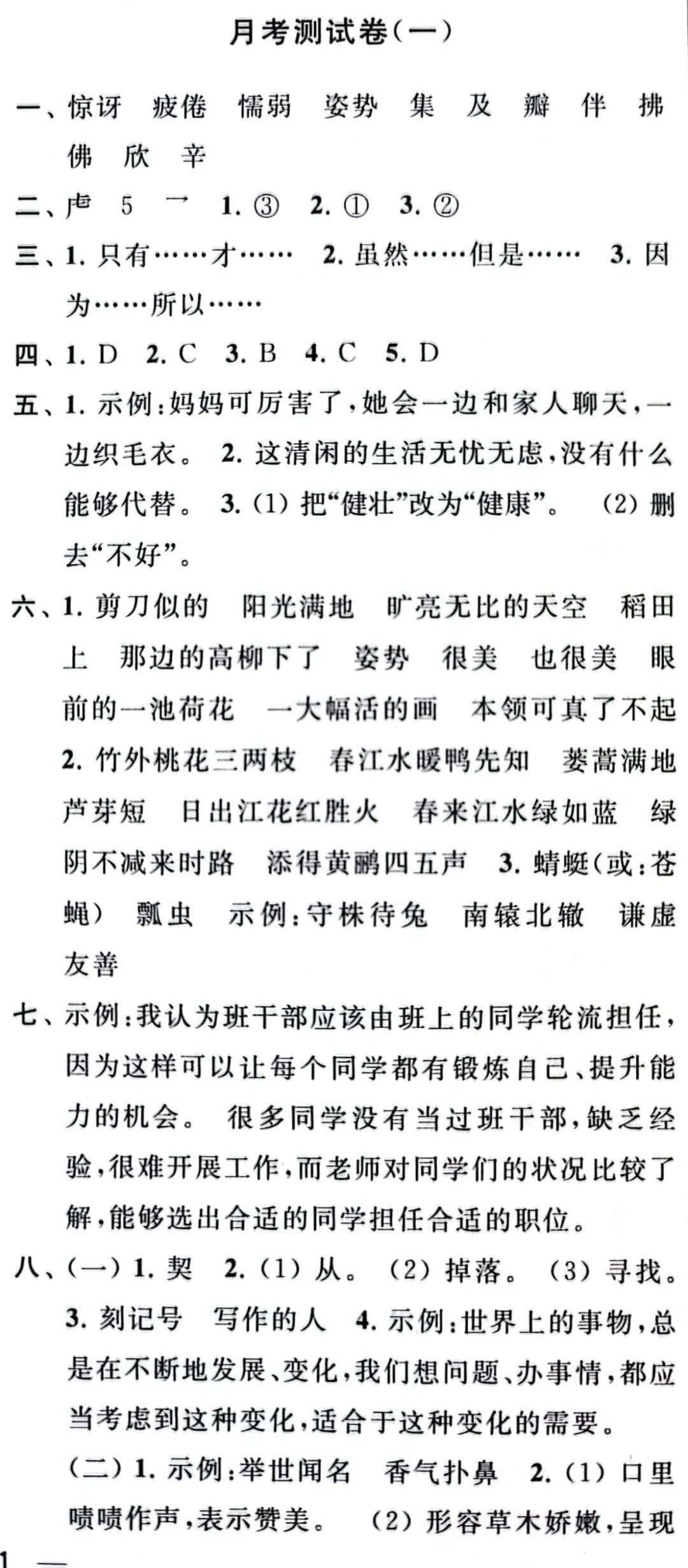 最新月考與大自然療愈之旅，尋找內心平靜的奇妙探險