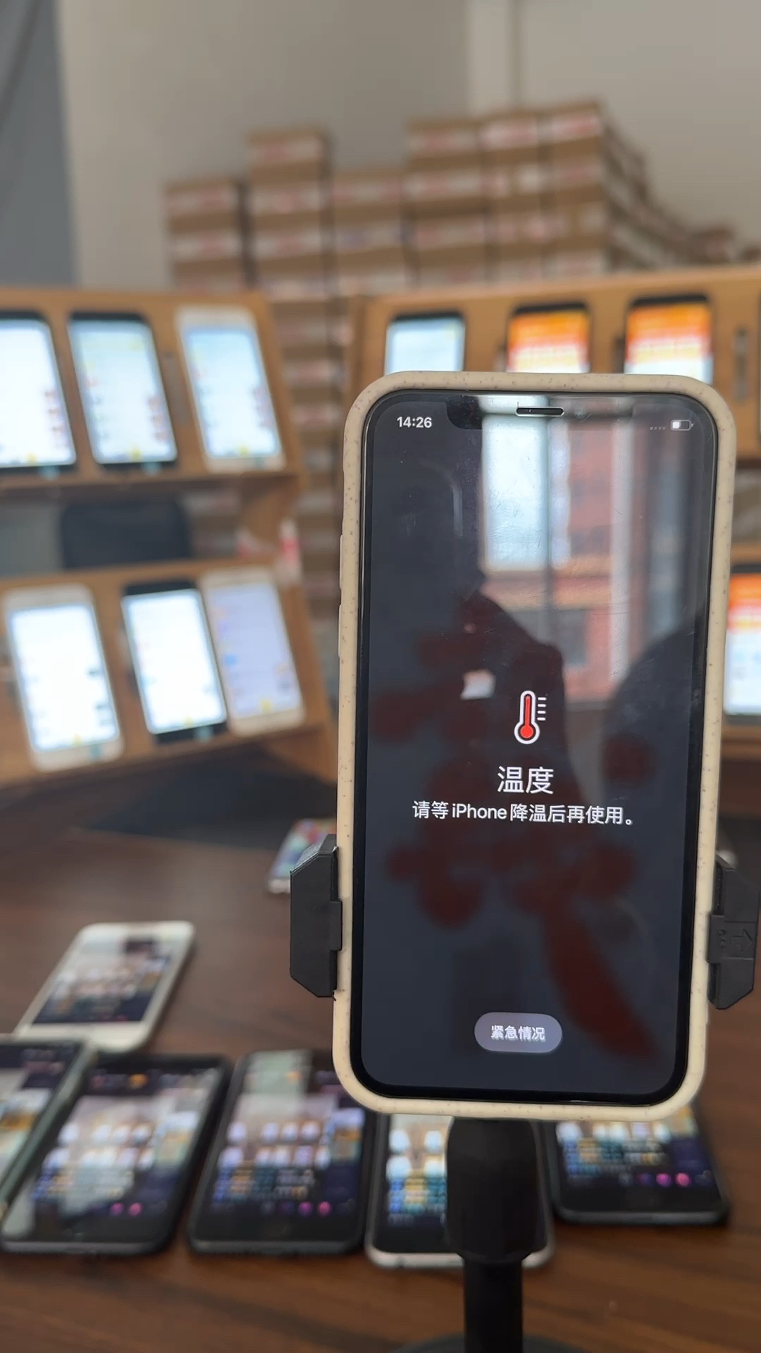 蘋(píng)果最新直播，科技與文化的完美融合盛宴