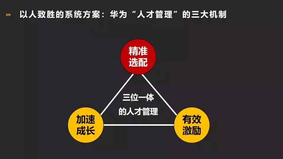 華為最新書籍探索，小巷中的書香寶藏