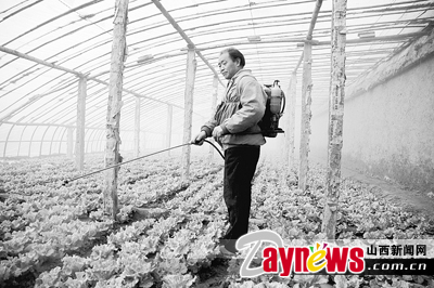 最新農(nóng)藥抽檢結(jié)果出爐，守護農(nóng)田安全，你我他的共同責(zé)任