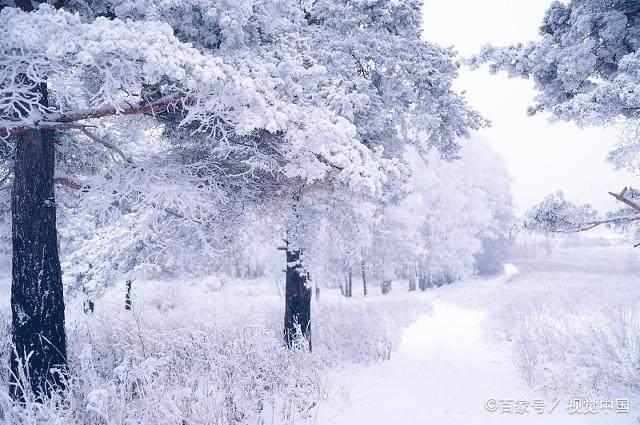 冬日暖陽(yáng)下的溫馨日常，最新冬美文精選