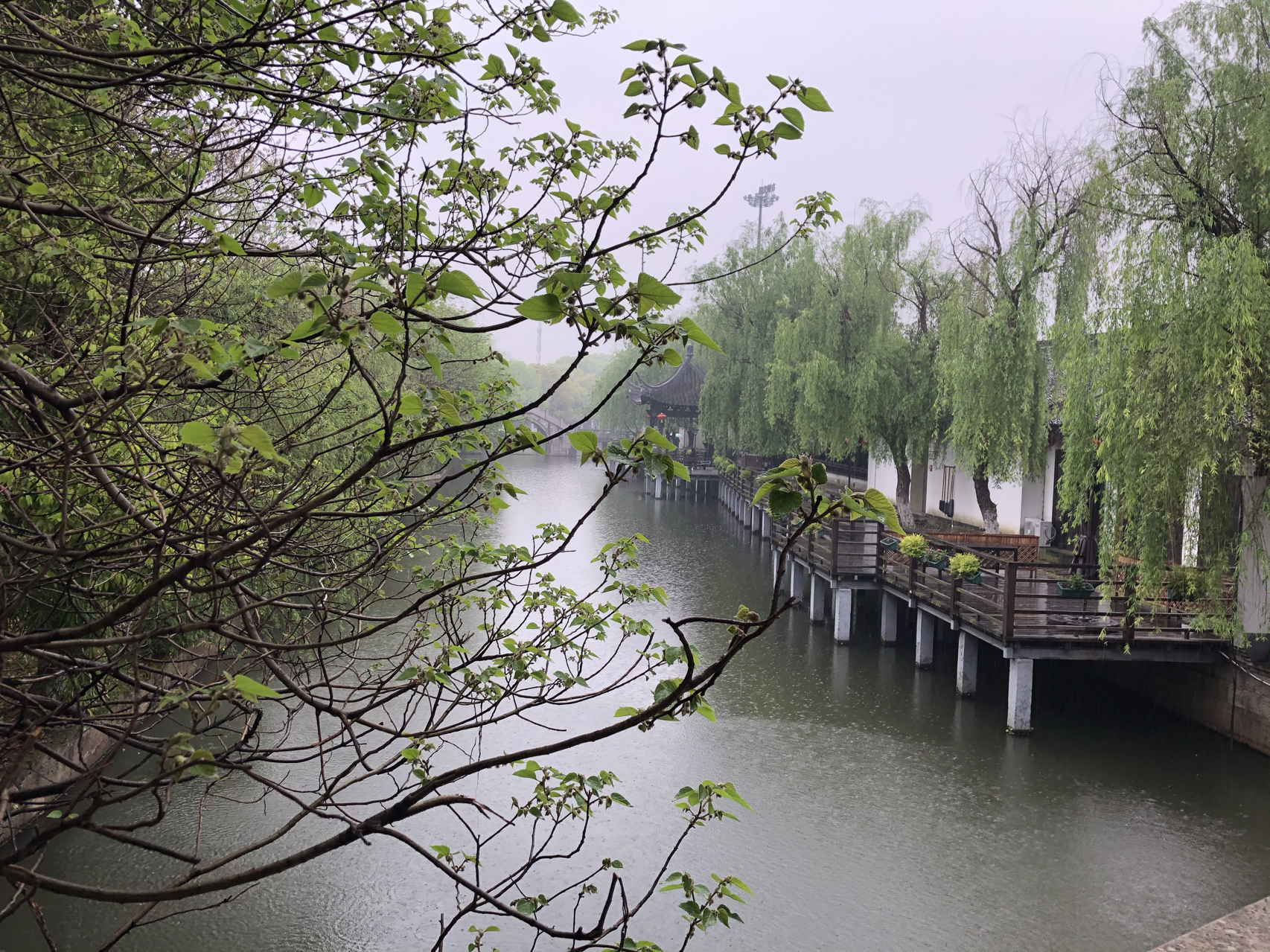 江南煙雨最新，自信與成就感的成長之旅