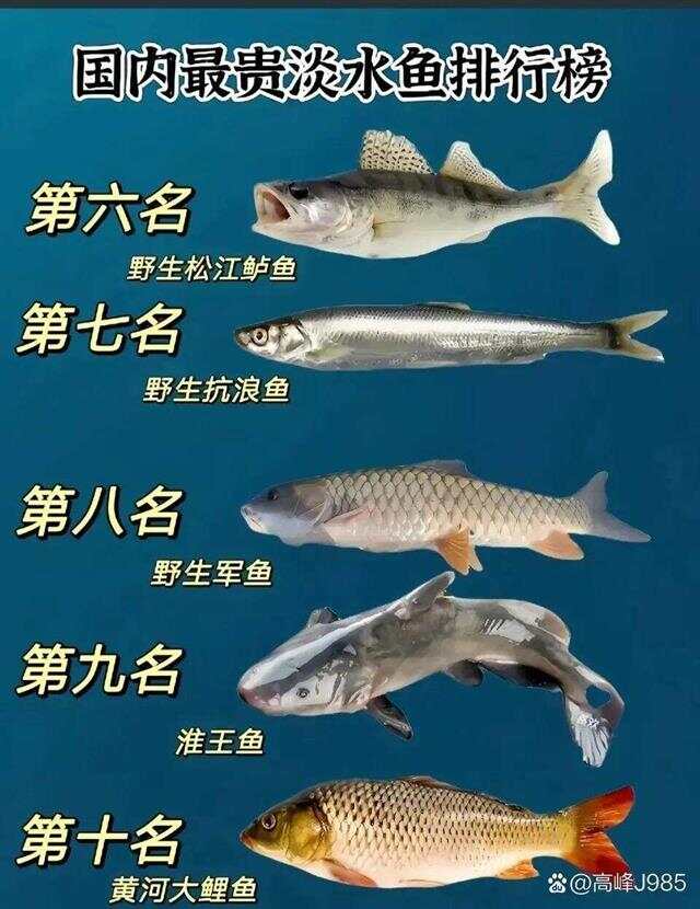 工礦燈具 第22頁(yè)