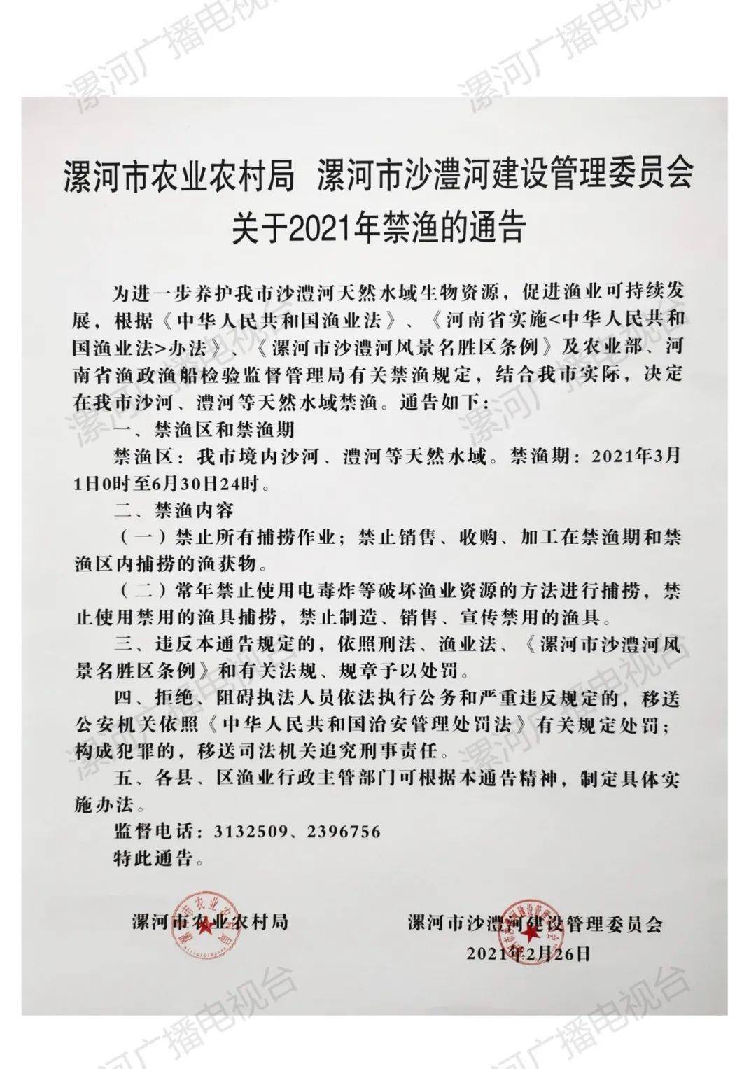 漯河最新通告，探索自然美景，尋覓內(nèi)心寧靜與平和之旅