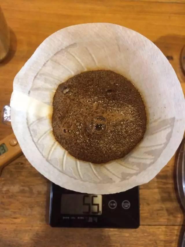 最新萃取法詳解，步驟指南與操作技巧