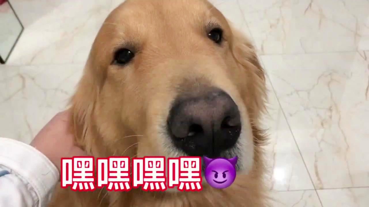 工程廠房燈具 第21頁(yè)