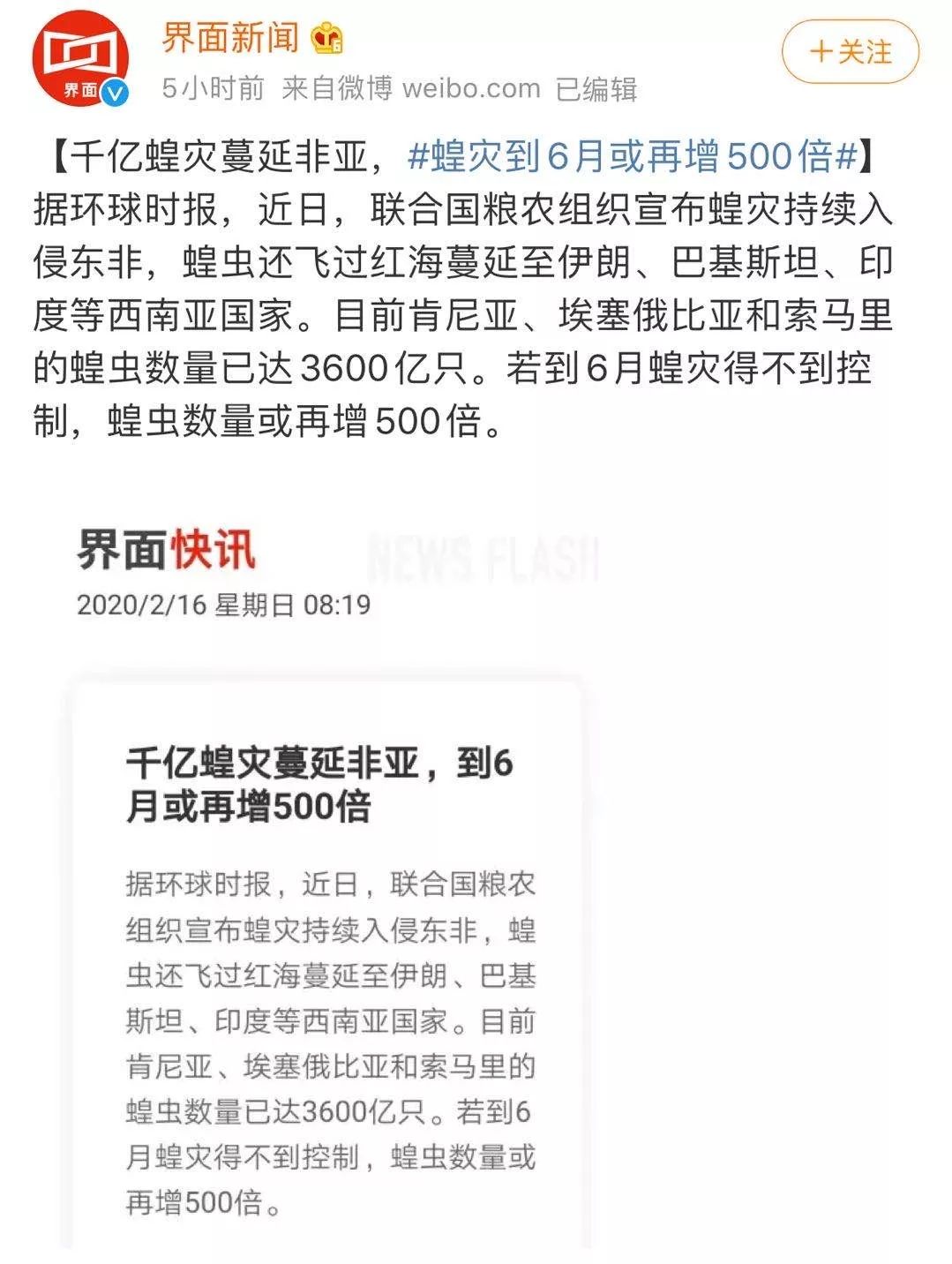 世界蝗災(zāi)最新動態(tài)，探索自然美景的輕松之旅