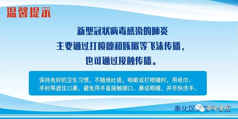 余姚最新確診背后的自然探索之旅，重拾心靈寧靜與平和