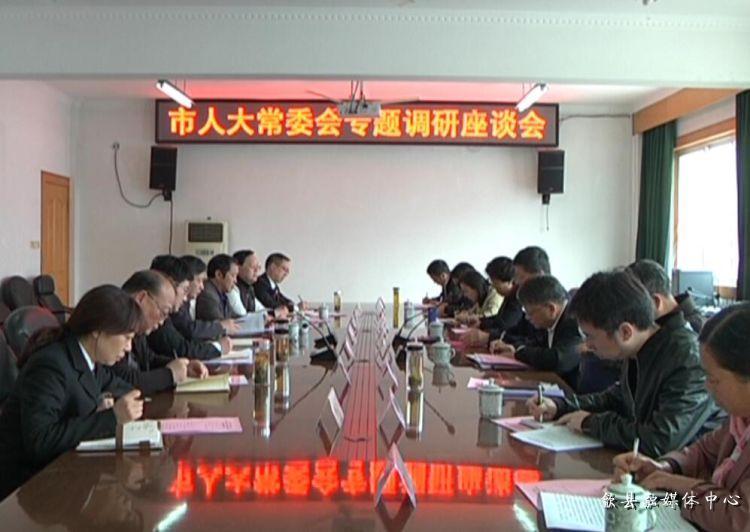 安徽歙縣最新動態(tài)，小巷深處的驚喜
