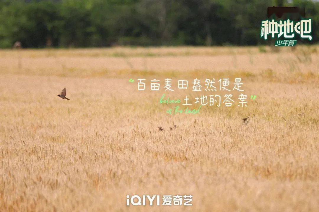 種地吧最新語錄，探索未來農(nóng)業(yè)的高科技魅力