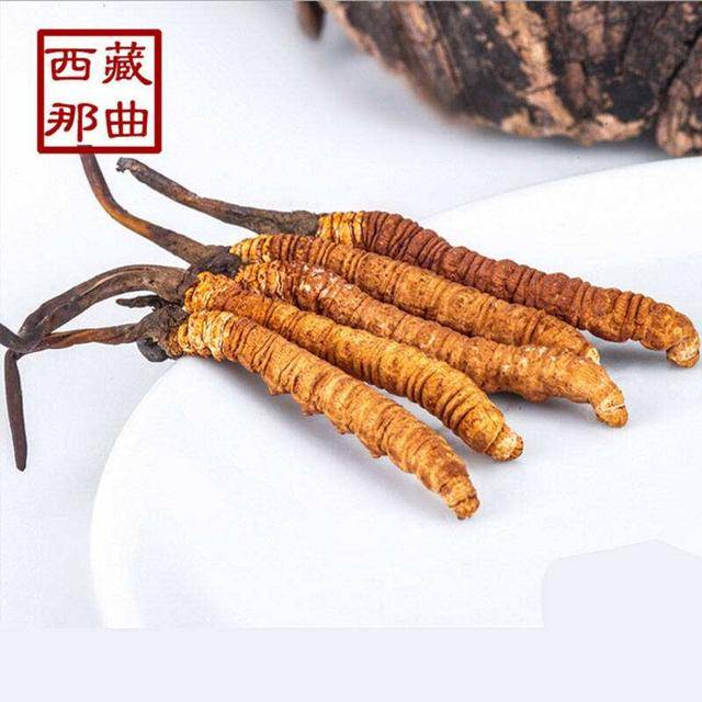 揭秘2025年蟲草最新價格，探尋小巷中的秘密行情！