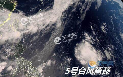 最新實(shí)時(shí)臺(tái)風(fēng)風(fēng)力查詢(xún)指南，風(fēng)力信息及查詢(xún)步驟全解析