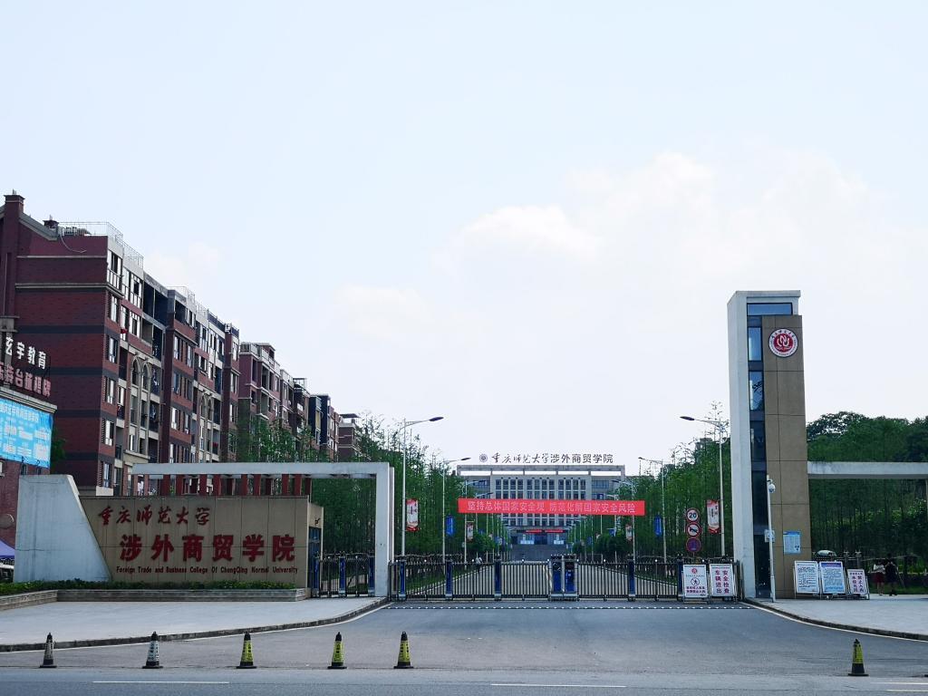 最新本科專業(yè)探秘，小巷中的隱藏寶藏之門