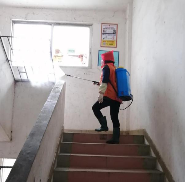 蓬江區(qū)最新高科技住宅，重塑未來生活體驗(yàn)的首選之地